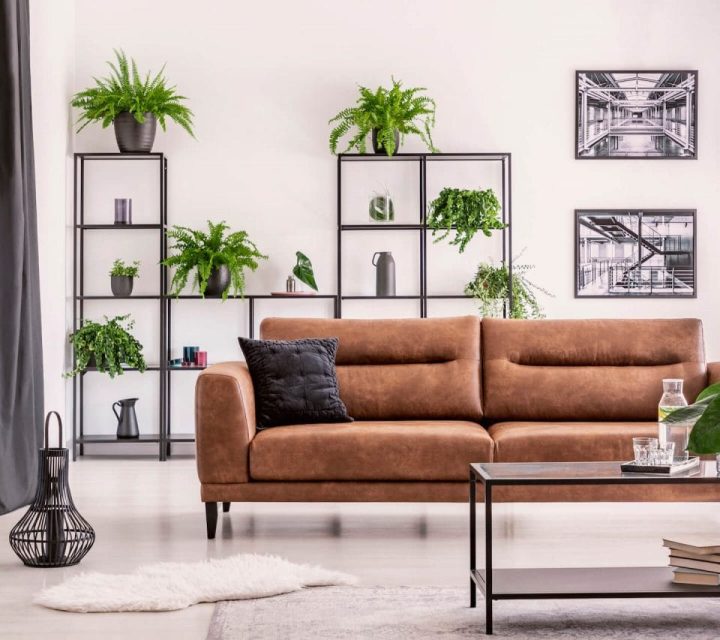 Interior design created by plant lover different